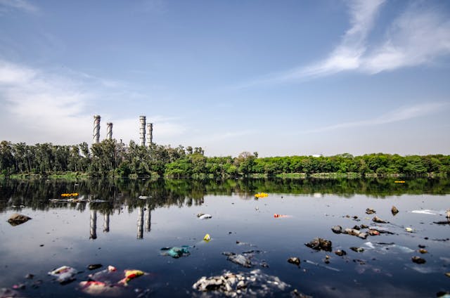 contaminação do lixo